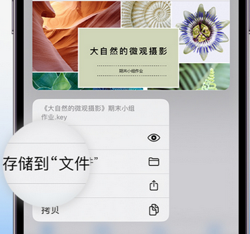 清丰apple维修中心分享iPhone文件应用中存储和找到下载文件