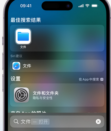 清丰apple维修中心分享iPhone文件应用中存储和找到下载文件 