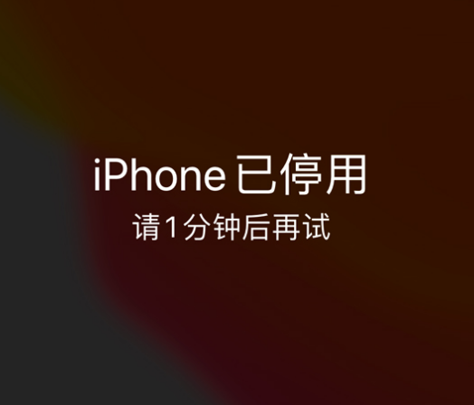 清丰苹果手机维修分享:iPhone 显示“不可用”或“已停用”怎么办？还能保留数据吗？ 