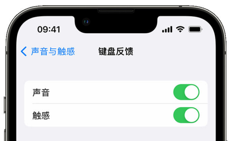 清丰苹果手机维修分享iPhone 14触感键盘使用方法 