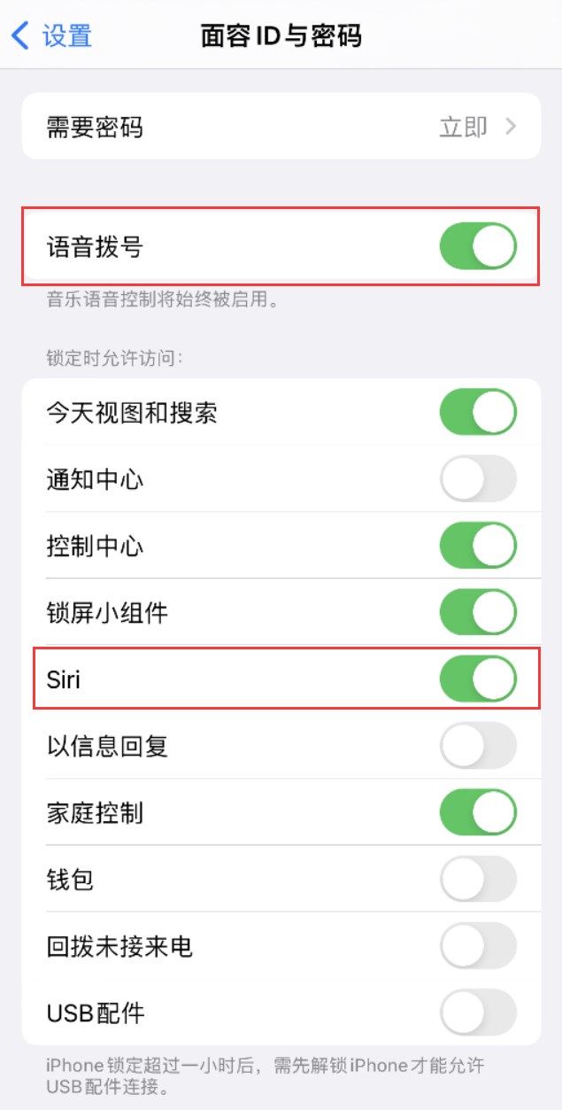 清丰苹果维修网点分享不解锁 iPhone 的情况下通过 Siri 拨打电话的方法 