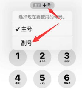 清丰苹果14维修店分享iPhone 14 Pro Max使用副卡打电话的方法 