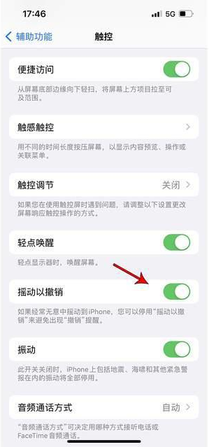 清丰苹果手机维修分享iPhone手机如何设置摇一摇删除文字 