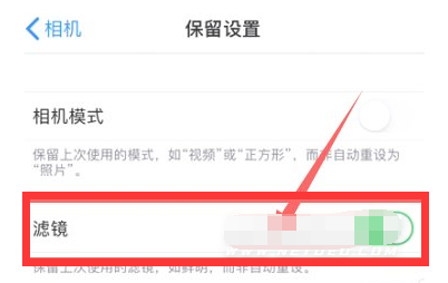 清丰苹果13维修分享iPhone13拍照有绿点是怎么回事 