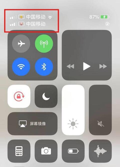 清丰苹果手机维修分享为 iPhone 12 双卡设置标签 